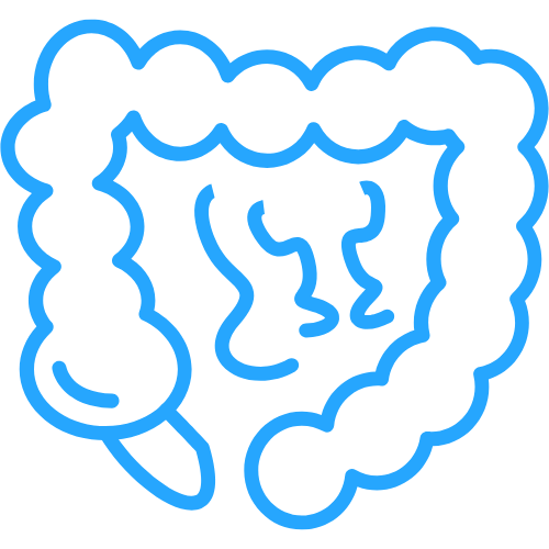 Appendectomy (Appendix removal)